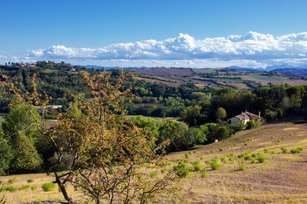 B&B Salvarosa Fano Kültér fotó